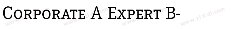 Corporate A Expert B字体转换